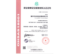 重慶午夜成人在线免费設計